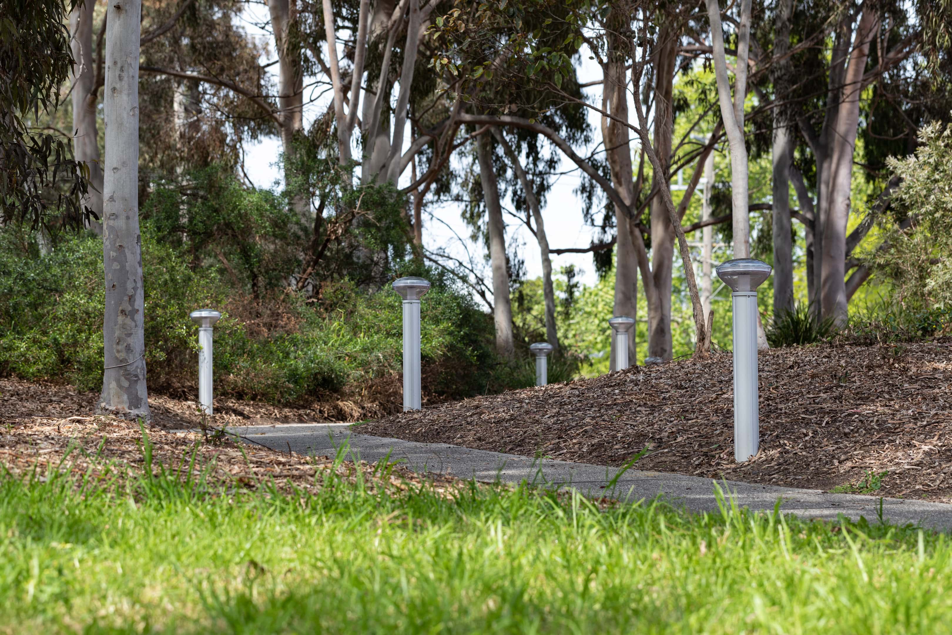 Silver solar bollards lining a mulched pathway through a wooded reserve at Kew, Victoria