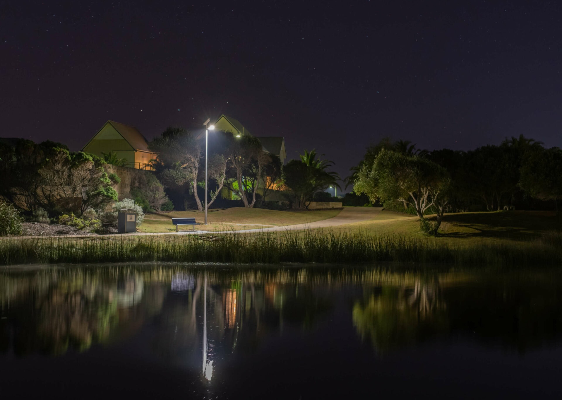 Night scene of a park with a bench under a streetlamp by a calm lake. Houses are visible in the background, surrounded by trees under a starry sky.